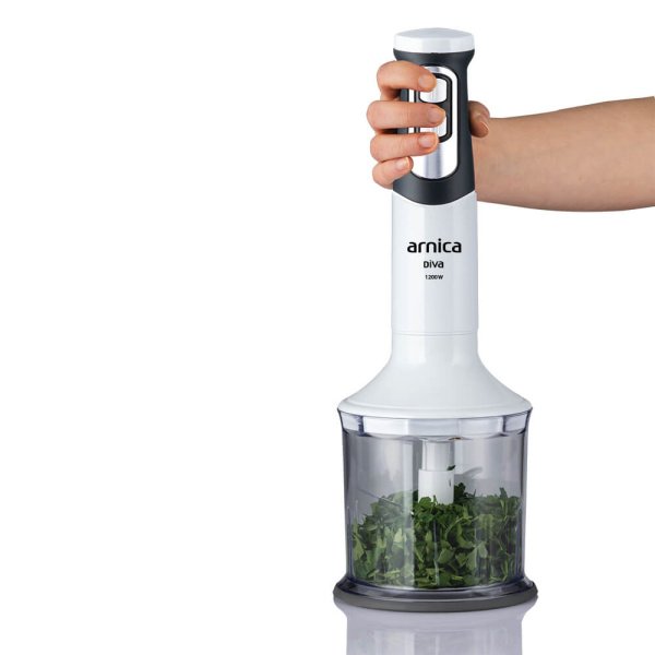 Arnica Diva El Blender Seti