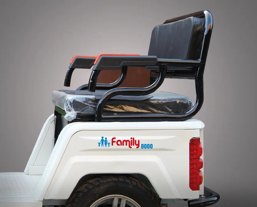 Falcon FAMILY 8000