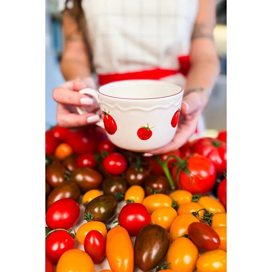 Rakle Pomodoro Stoneware Çorba Kupası 11 Cm
