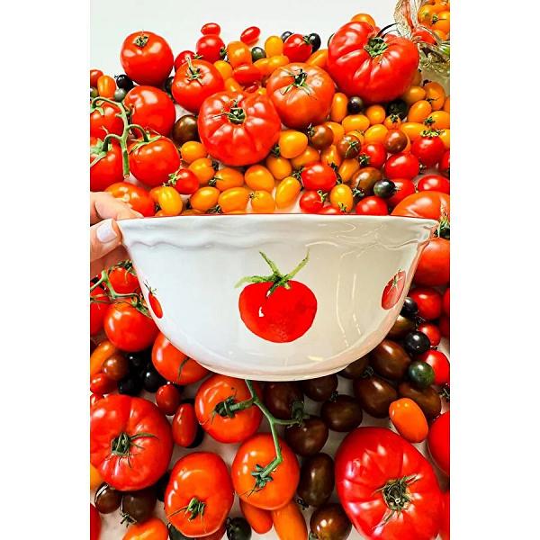 Rakle Pomodoro Stoneware Salata Kasesi 25 Cm